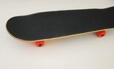 Atlantic Aire - "Great Fire" - Cruiser - Custom Complete Skateboard