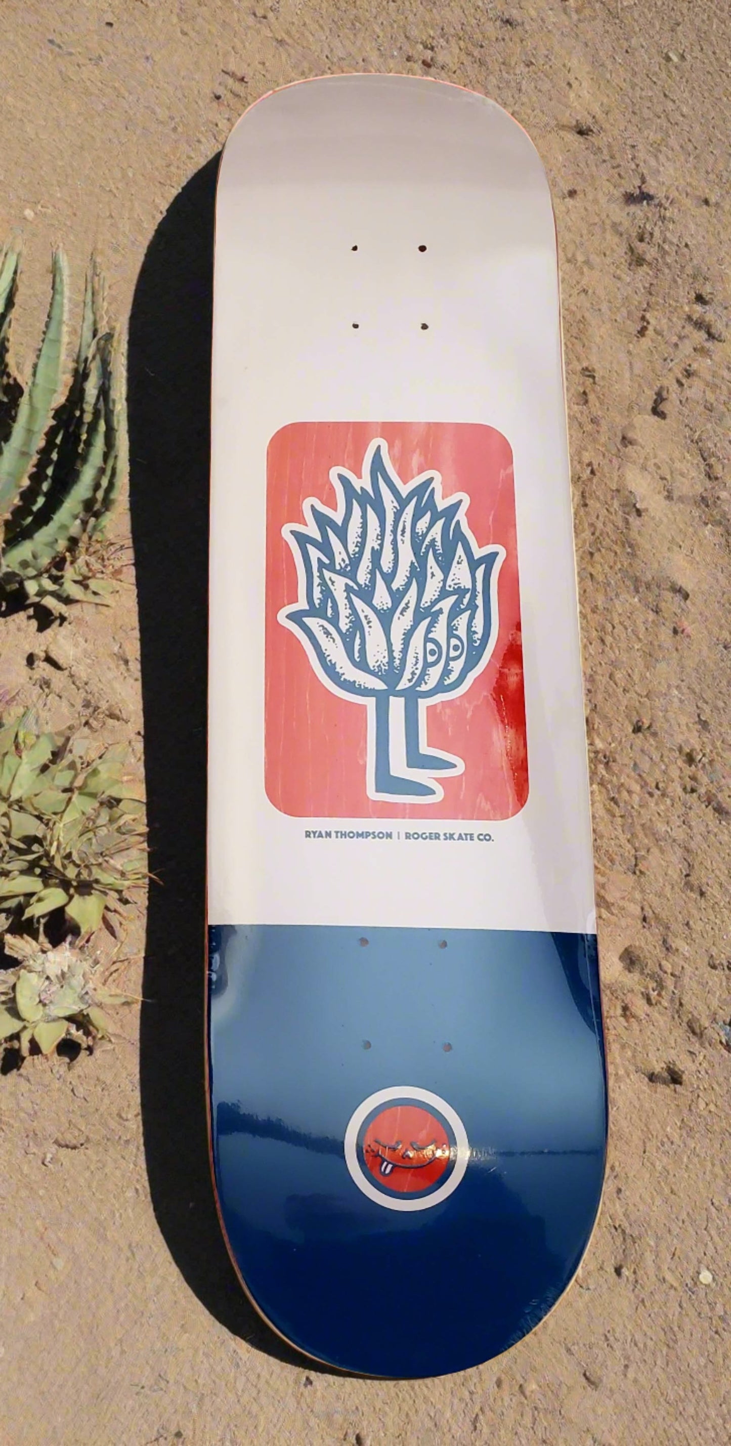 Roger - "Thompson Agave Plant" - Skateboard Deck - 8.25"