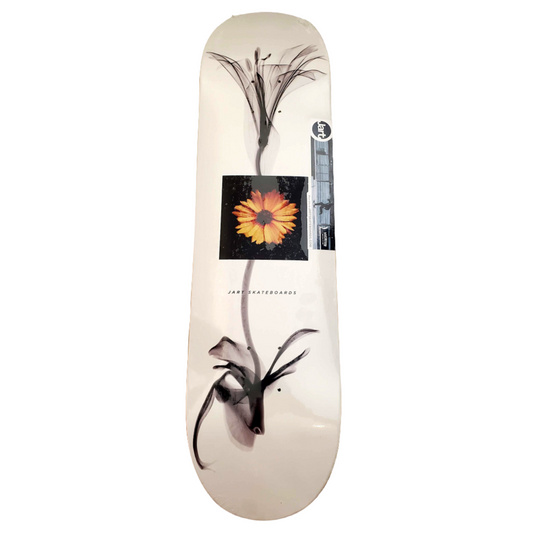 JART - "X-Ray" - Skateboard Deck - 8.25"