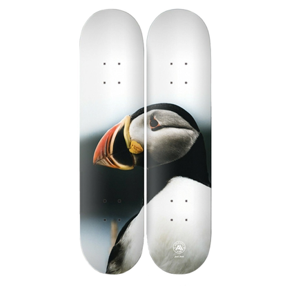 Atlantic Aire - "Bonavista" - 2 Deck Skateboard Set - 8.5"