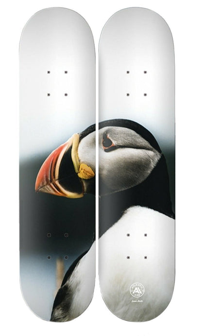 Atlantic Aire - "Bonavista" - 2 Deck Skateboard Set - 8.5"