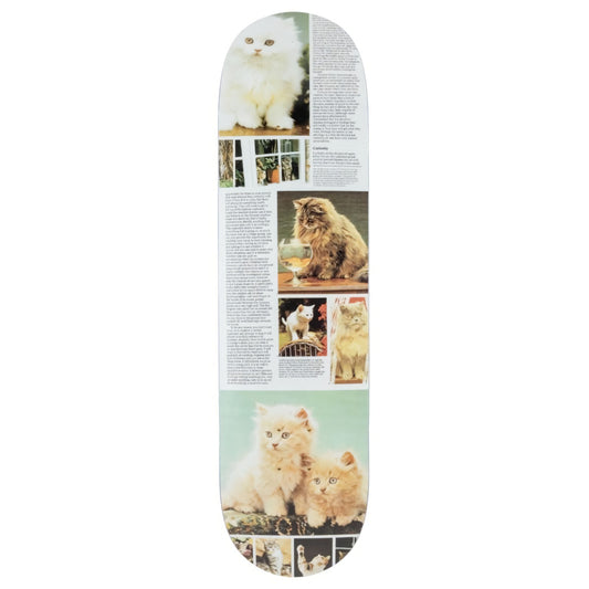 Studio - "Cat Book - Curiousity" - Skateboard Deck - 8.25"