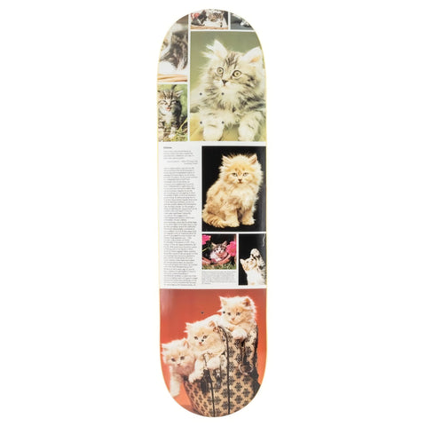 Studio - "Cat Book - Kittens" - Skateboard Deck - 8.25"