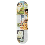 Studio - "Cat Book - Mystical Appeal" - Skateboard Deck - 8.25"